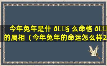 今年兔年是什 🐧 么命格 🍀 的属相（今年兔年的命运怎么样2020）